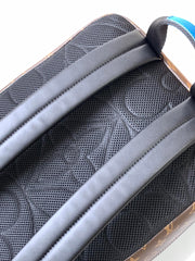 DEAN BACKPACK 42 IN BLUE AND BROWN MONOGRAM CANVAS