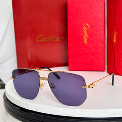 PREMIÈRE NAVIGATOR FRAME SUNGLASSES CT6011S IN METAL