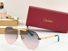 SIGNATURE C DE AVIATOR FRAME SUNGLASSES 524543 IN METAL