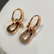 FORCE 10 EARRINGS