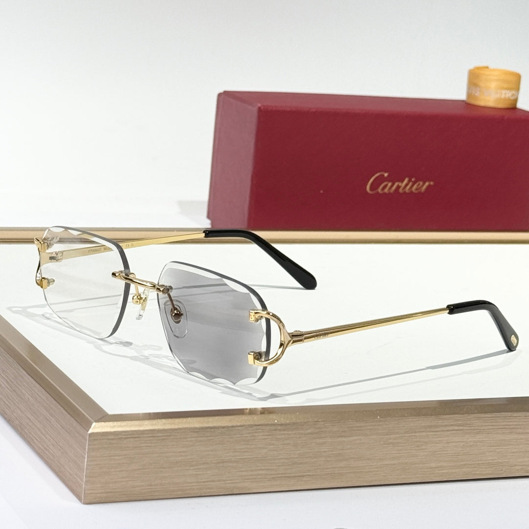 PHOTOCHROMIC LENSES C DE SQUARE FRAME SUNGLASSES CT0093O IN METAL