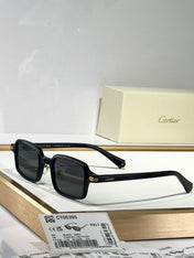 PREMIÈRE SQUARE FRAME SUNGLASSES CT0539S IN ACETATE