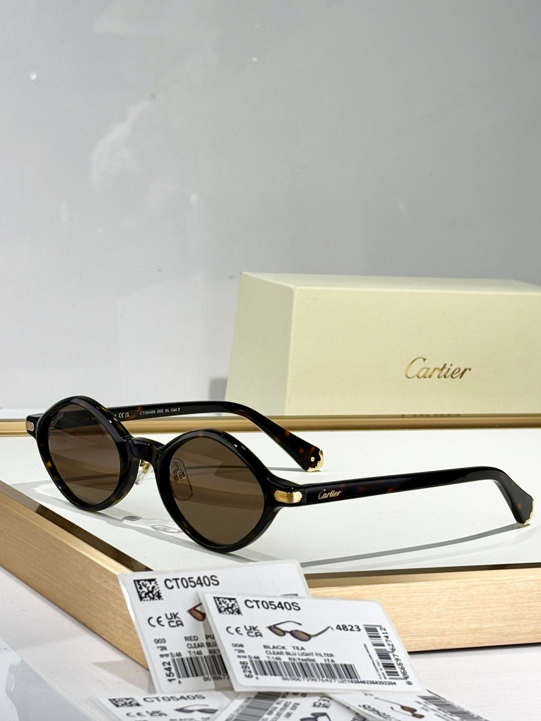 PREMIÈRE GEOMETRIC FRAME SUNGLASSES CT0540S IN ACETATE
