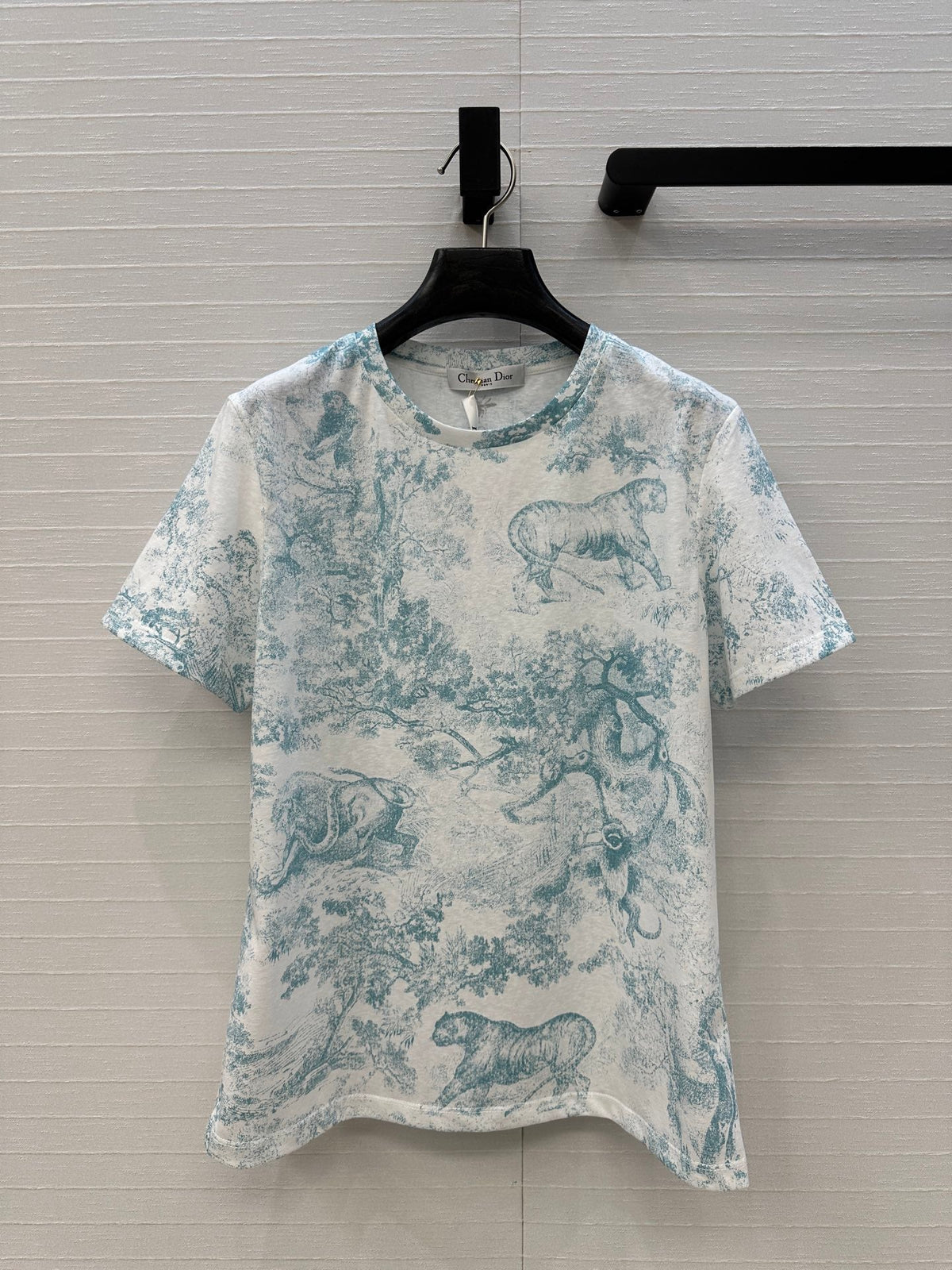 DIOR GRAPHIC PRINT T-SHIRT IN WHITE AND GREEN