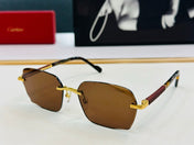SIGNATURE C DE RECTANGULAR FRAME SUNGLASSES CT0483S IN METAL AND WOODEN