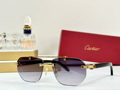 PREMIÈRE GEOMETRIC FRAME SUNGLASSES CT0621S IN METAL AND WOODEN