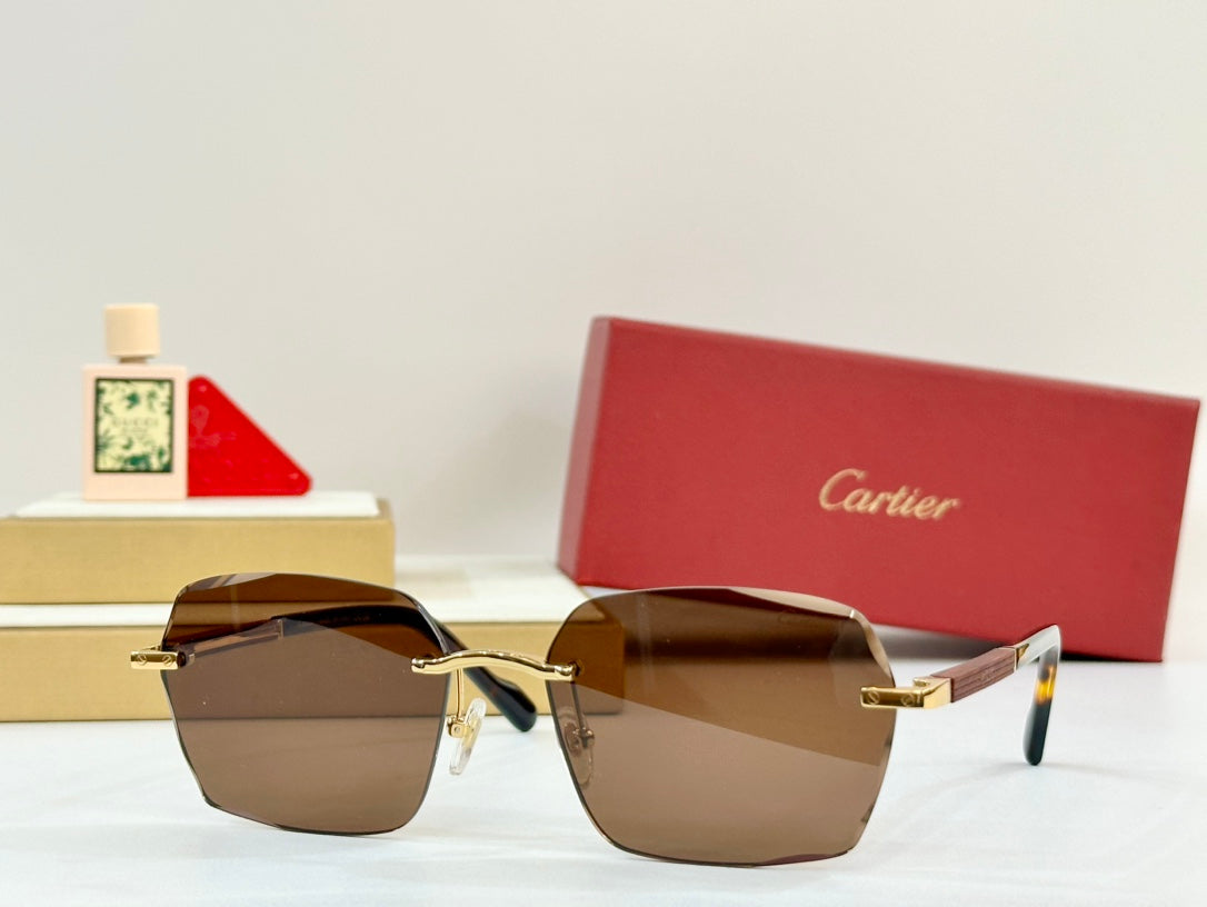 PREMIÈRE GEOMETRIC FRAME SUNGLASSES 530303 IN METAL AND WOODEN