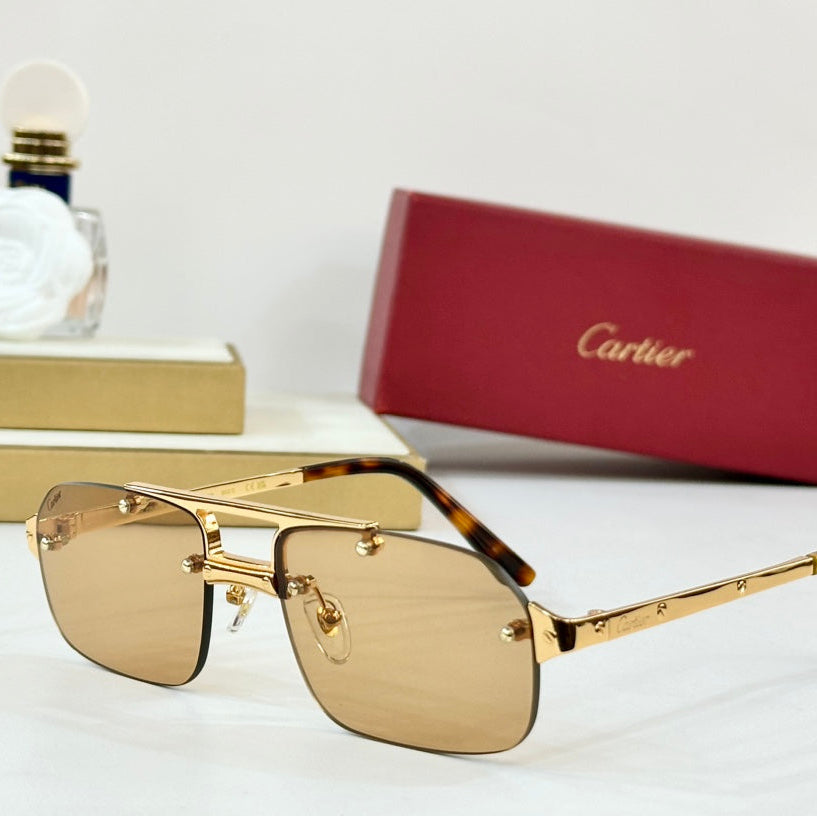 SANTOS RECTANGULAR FRAME SUNGLASSES CT0660S IN METAL