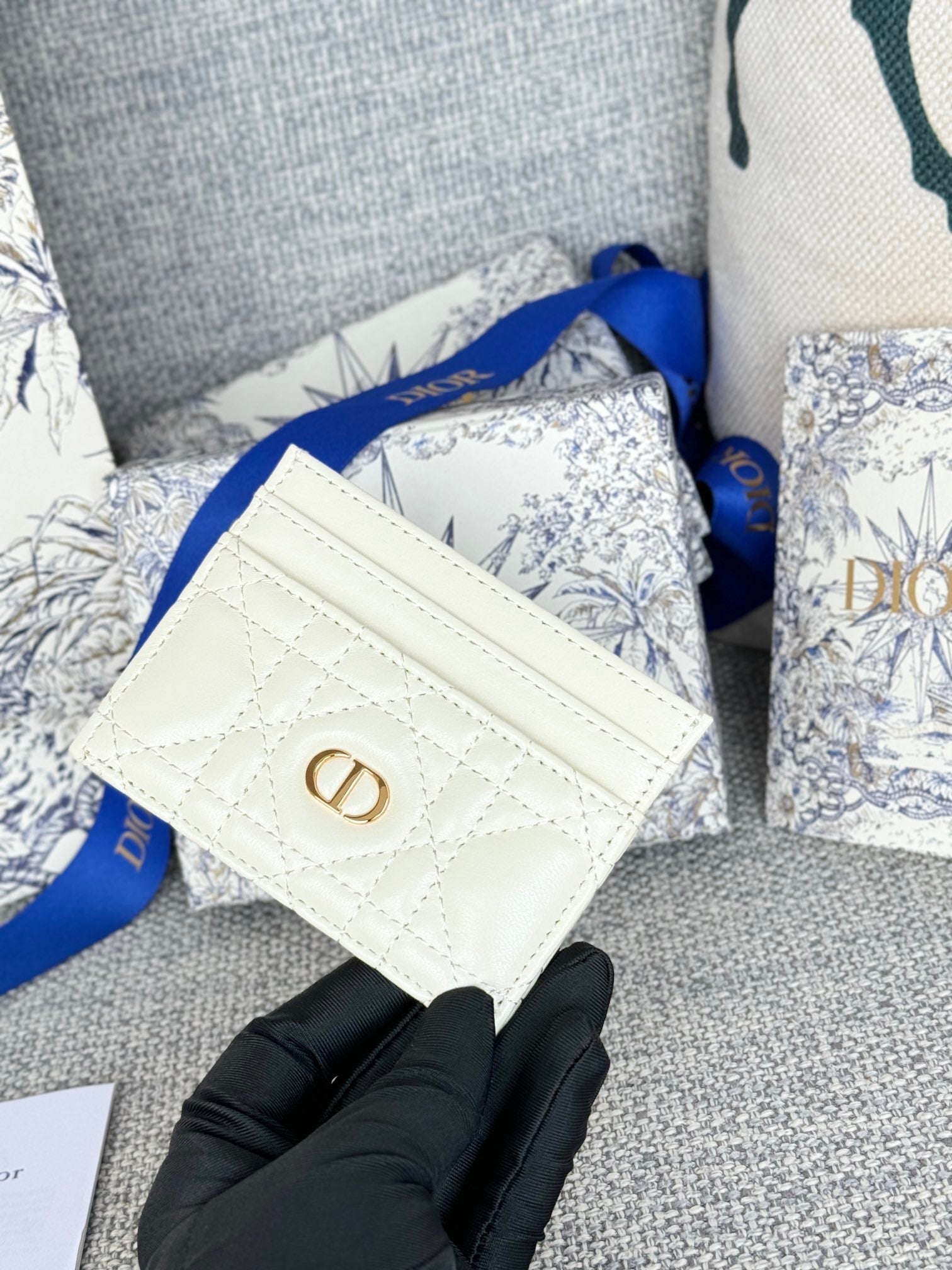 CARO FREESIA CARD HOLDER 10 IN WHITE CANNAGE CALFSKIN