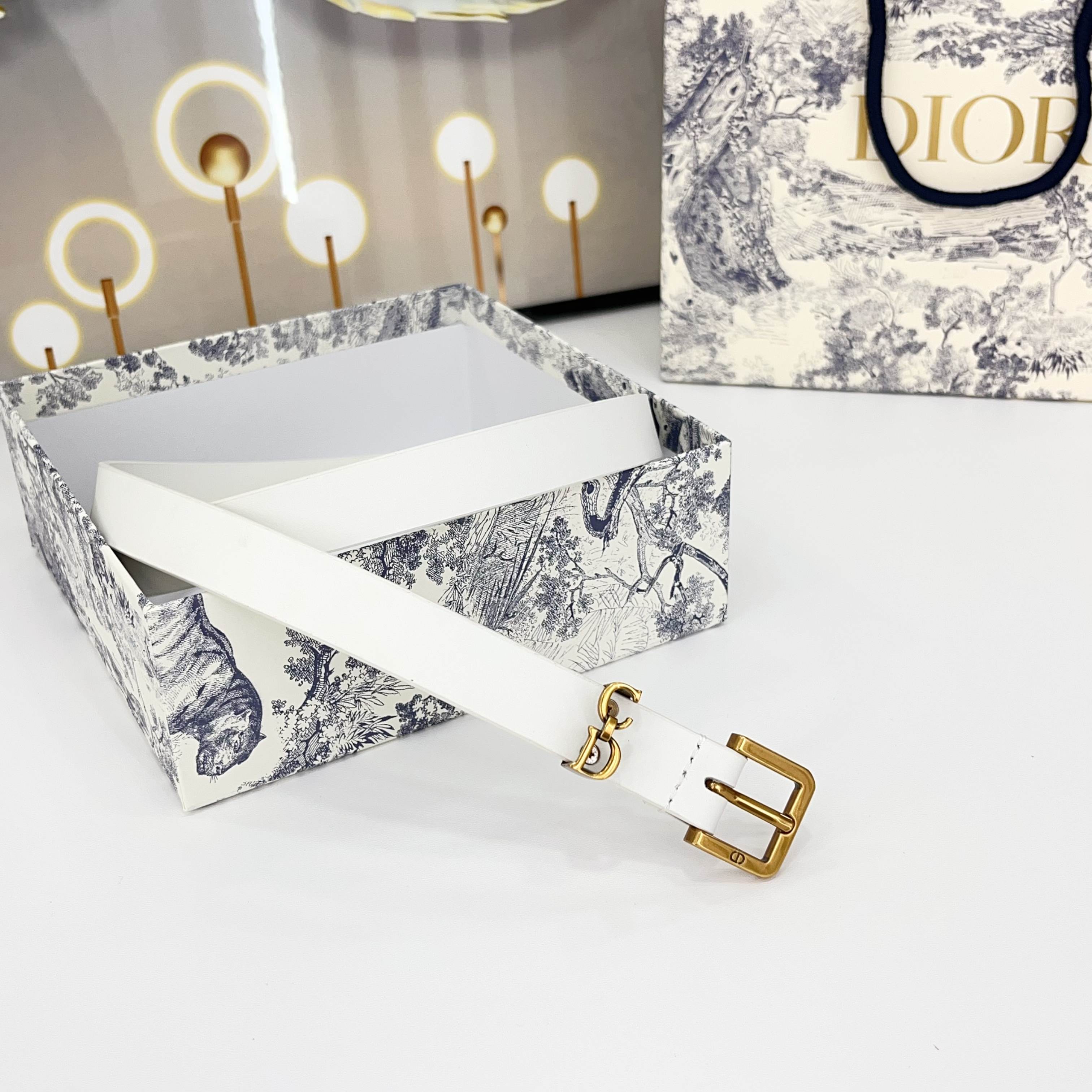 DIOR 25S BELT 20 MM IN WHITE CALFSKIN 570114