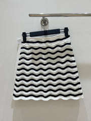 CELINE 25S A-LINE SKIRT 0128