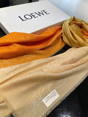 LOEWE 25S SCARF 200 IN CASHMERE SILK 0001