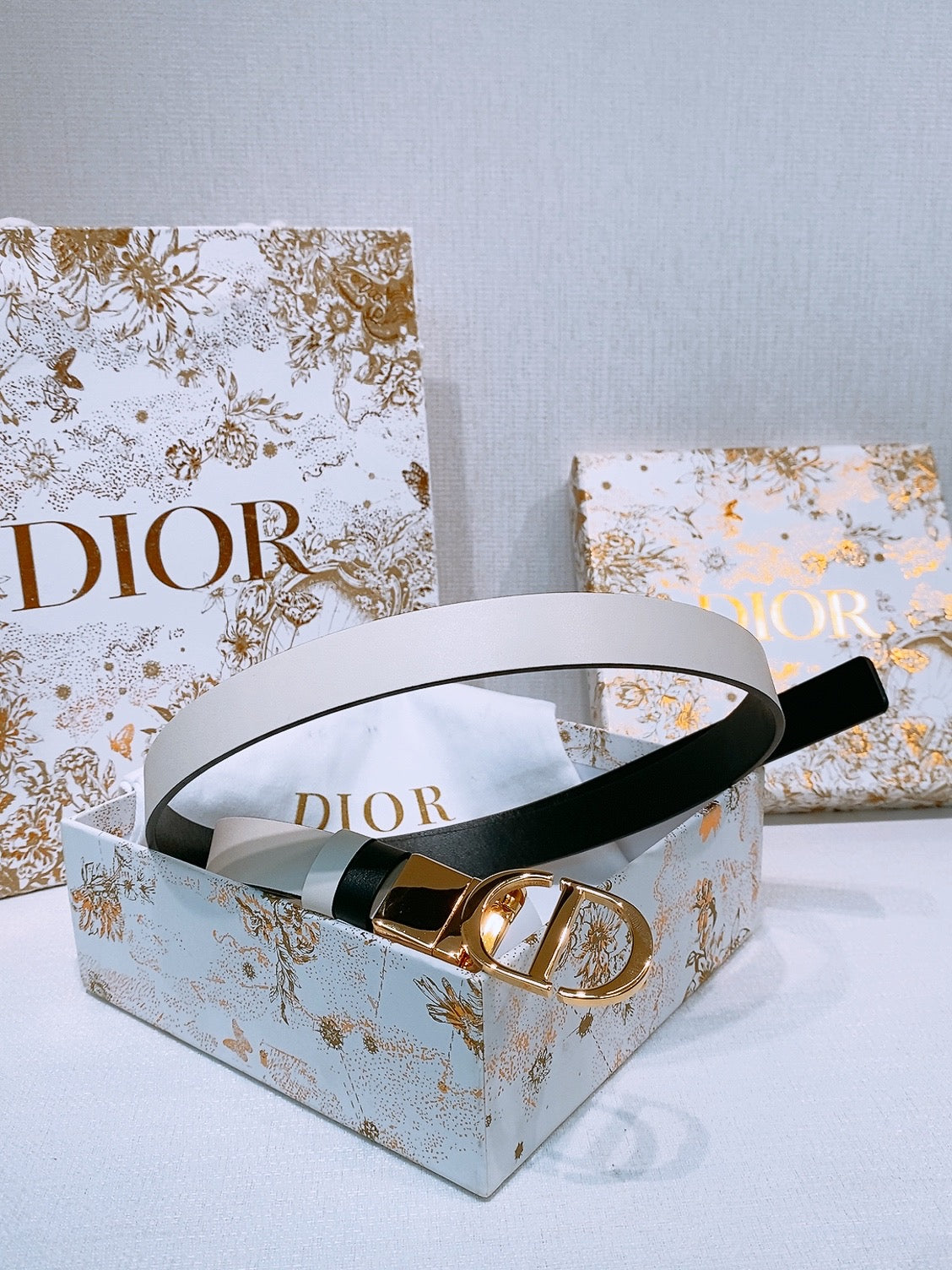 DIOR 25S BELT 20 MM IN WHITE CALFSKIN 572896